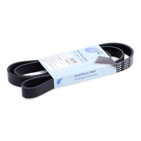Compre Correia do alternador de BLUE PRINT online para HILUX III Camião de plataforma/chassis (KUN1_, TGN3_, TGN2_, a preços moderados