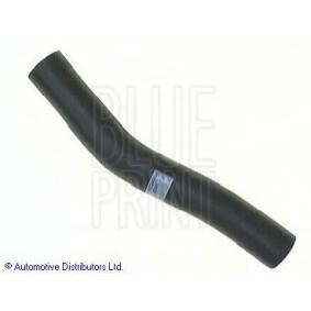 Acquista Manicotto radiatore da BLUE PRINT online per L 300 / Delica II Bus (LO3_P/G, L0_2P) a prezzi moderati