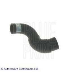 Compre Tubo de radiador de BLUE PRINT online para Sunny III Hatchback (N14) a preços moderados