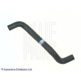 Compre Tubo de radiador de BLUE PRINT online para Sunny III Hatchback (N14) a preços moderados