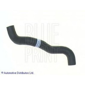 Compre Tubo de radiador de BLUE PRINT online para Sunny III Hatchback (N14) a preços moderados