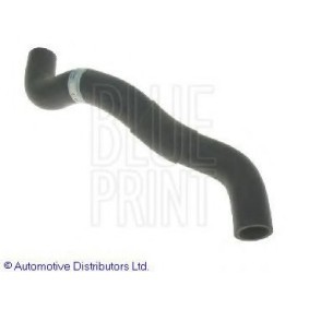 Compre Tubo de radiador de BLUE PRINT online para Sunny III Hatchback (N14) a preços moderados