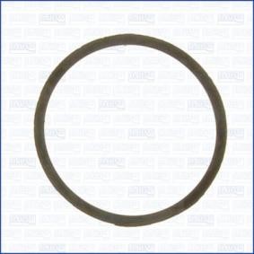 Dichtung, Thermostat 00963000