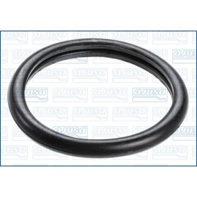 Dichtung, Thermostat 00538100