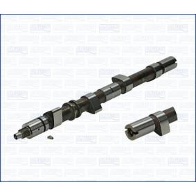 Nockenwelle 93019100