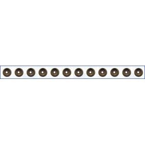 Dichtungssatz, Ventilschaft 57018900