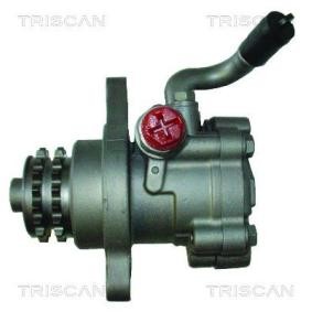 Servopumpe von TRISCAN