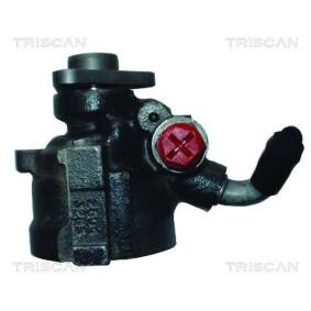 Servopumpe von TRISCAN