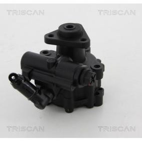 Servopumpe von TRISCAN