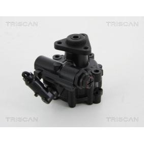 Servopumpe von TRISCAN