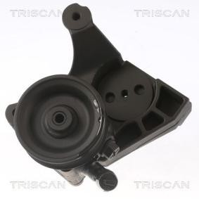 Servopumpe von TRISCAN