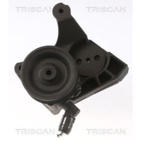 Servopumpe von TRISCAN