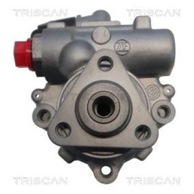 Servopumpe von TRISCAN