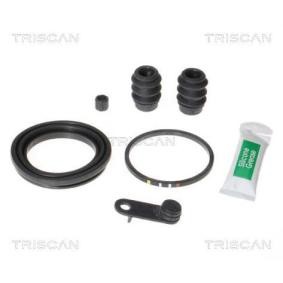 Bremssattel-Reparatursatz für HYUNDAI von TRISCAN