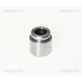 Kolben, Bremssattel 8170 233023