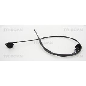 Acquista Cofano da TRISCAN online per MEGANE Scenic (JA0/1_) a prezzi moderati