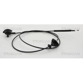 Motorhaubenzug für RENAULT von TRISCAN
