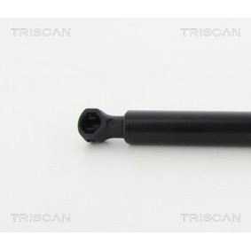 Bremsscheibe von TRISCAN