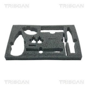 Dichtungssatz, Kurbelgehäuse für CITROËN von TRISCAN