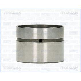 Hydrostößel für ROVER von TRISCAN