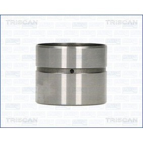Hydrostößel für VOLVO von TRISCAN