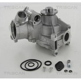 Wasserpumpe 8600 23058 von TRISCAN günstig für 120,52 € online kaufen