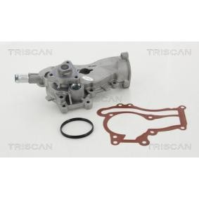 Achetez des Pompe à eau TRISCAN 8600 24053 à prix pour 102,87 €