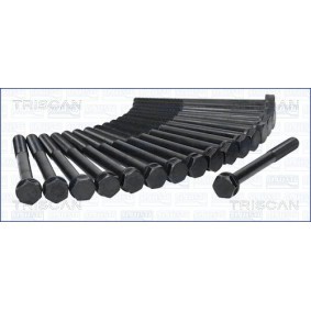 Compre Jogo de parafusos da cabeça do motor da TRISCAN 98-3201 a um preço baixo por 53,87 €