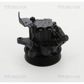 Servopumpe von TRISCAN