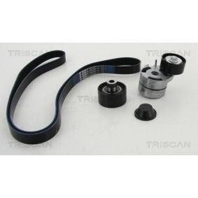 Acquista Kit Cinghie Poly-V da TRISCAN 8642 10004 a buon mercato per soli 179,35 €