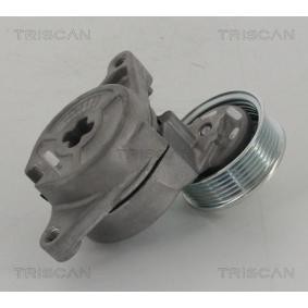 Comprar Polea tensora, correa poli V de TRISCAN 8641 502003 a bajo precio de 182,25 €