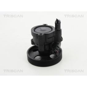Servopumpe von TRISCAN