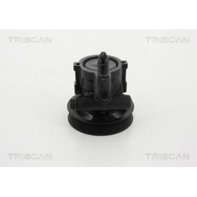 Servopumpe von TRISCAN