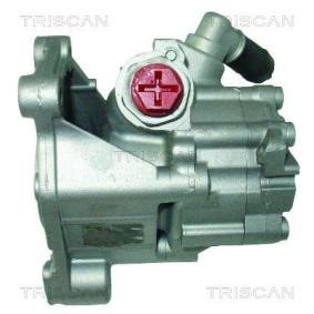 Servopumpe von TRISCAN
