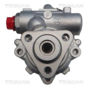Servopumpe von TRISCAN