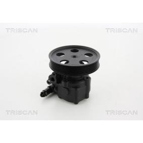 Servopumpe von TRISCAN