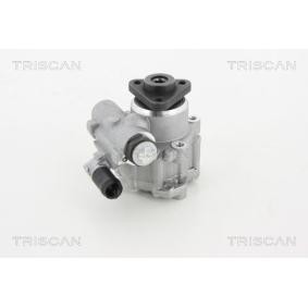 Servopumpe von TRISCAN