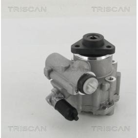 Servopumpe von TRISCAN
