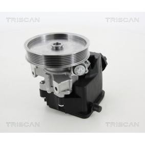 Servopumpe von TRISCAN
