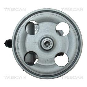 Servopumpe von TRISCAN