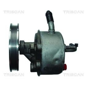 Servopumpe von TRISCAN