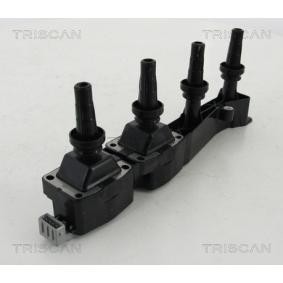 Acquista Bobina d'accensione da TRISCAN 8860 28009 a buon mercato per soli 98,51 €