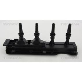 Acquista Bobina d'accensione da TRISCAN 8860 28010 a buon mercato per soli 133,62 €
