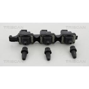 Acquista Bobina d'accensione da TRISCAN 8860 28012 a buon mercato per soli 188,98 €