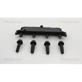 Acquista Bobina d'accensione da TRISCAN 8860 28015 a buon mercato per soli 185,00 €
