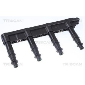 Acquista Bobina d'accensione da TRISCAN 8860 28016 a buon mercato per soli 156,30 €