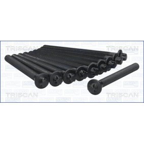 Zylinderkopfschraubensatz 98-6015 von TRISCAN günstig für 51,80 € online kaufen