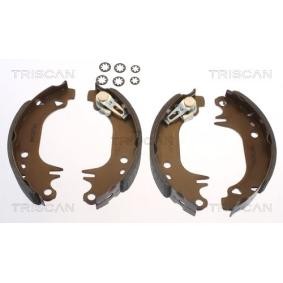Comprar Juego de zapatas de frenos de TRISCAN 8100 10006 a bajo precio de 28,88 €