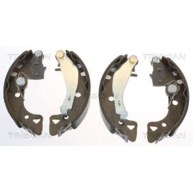 Comprar Juego de zapatas de frenos de TRISCAN 8100 10488 a bajo precio de 38,13 €