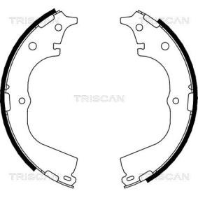Bremsbackensatz von TRISCAN